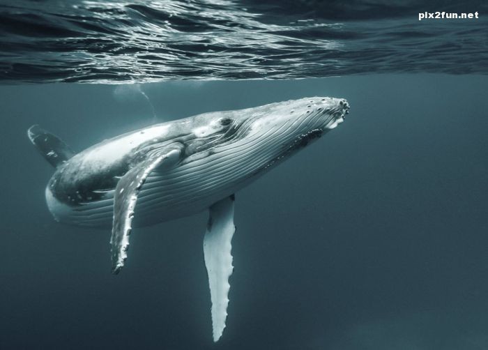 گلچین عکس های نشنال جئوگرافیک