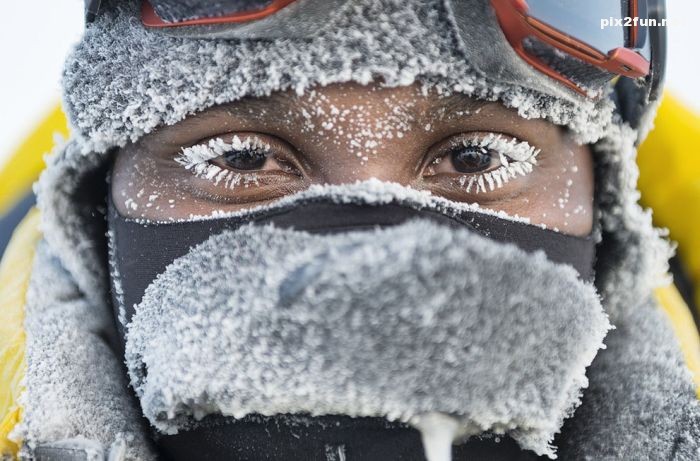 گلچین عکسهای 2013 نشنال جئوگرافیک