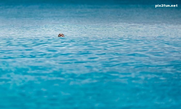 گلچین جدید عکس های نشنال جئوگرافیک