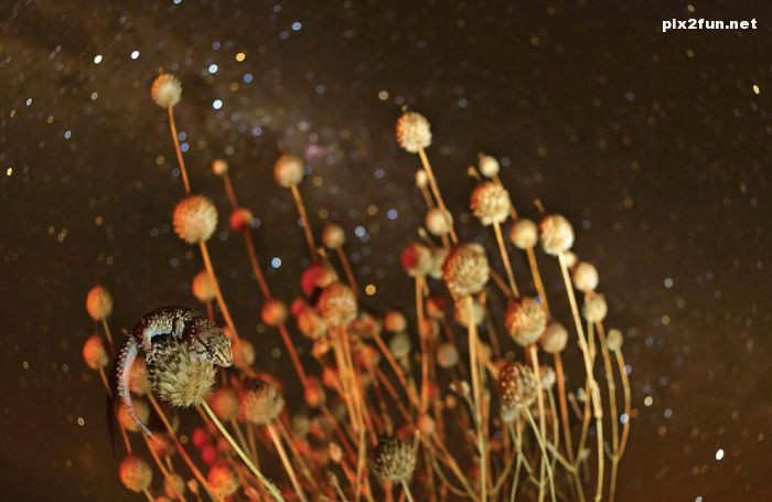 گلچین جدید عکس های نشنال جئوگرافیک