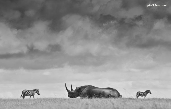 عکس های گلچین از نشنال جئوگرافیک