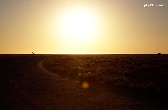 عکس های گلچین از نشنال جئوگرافیک