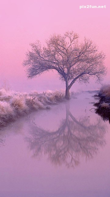 nature_mobile_wallpaper_033