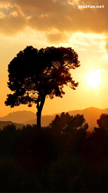 nature_mobile_wallpaper_035