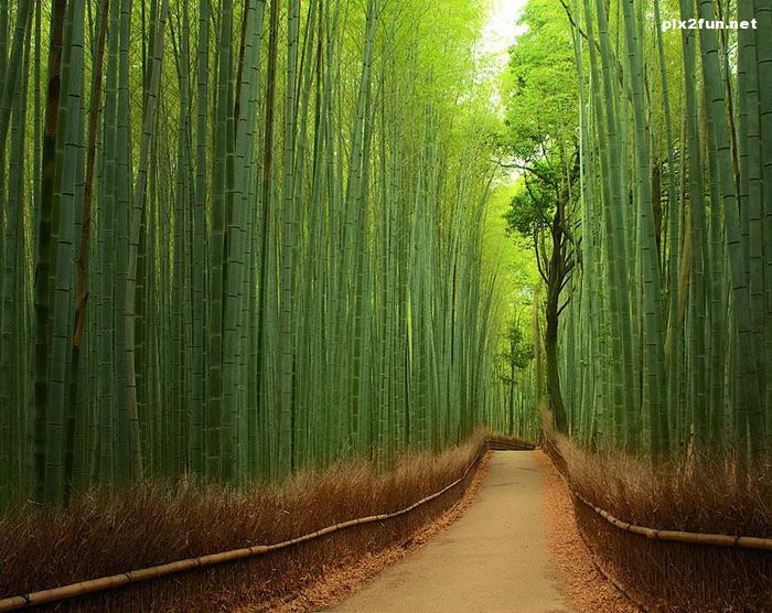 مناظر عجیب ولی واقعی