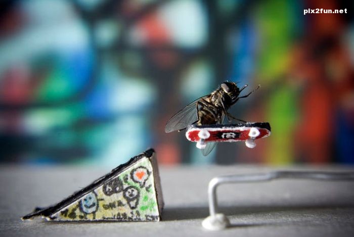 عکس های باور نکردنی