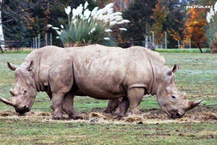 عکس های باور نکردنی