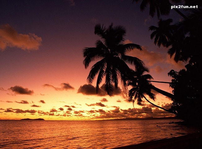 palm_sunset_wallpaper_002