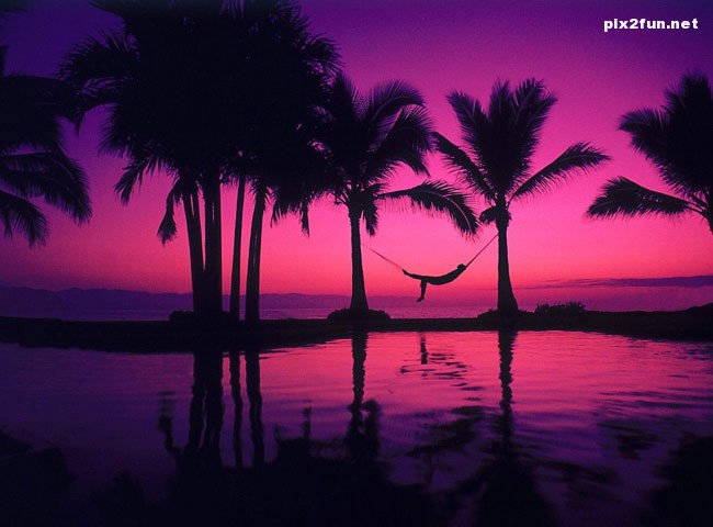 palm_sunset_wallpaper_007