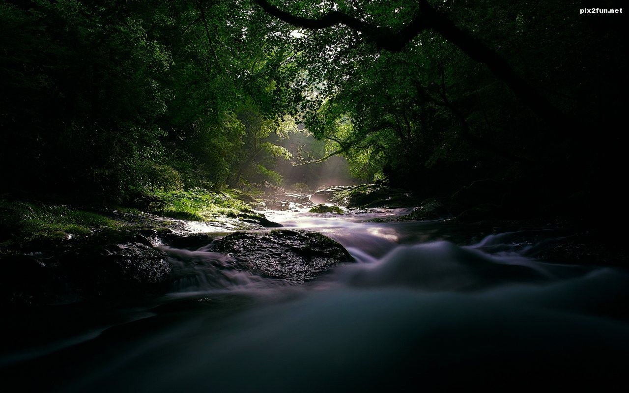 path-to-light-1280x800