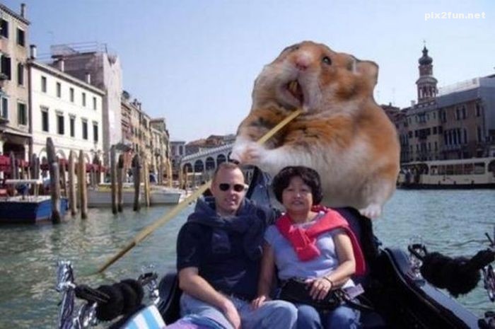 عکس های خنده دار درست شده با فتوشاپ