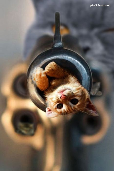 عکس های خلاقانه درست شده با فتوشاپ