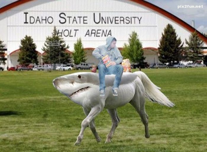 تصاویر خلاقانه فتوشاپی