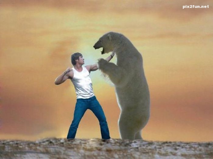 تصاویر خلاقانه فتوشاپی