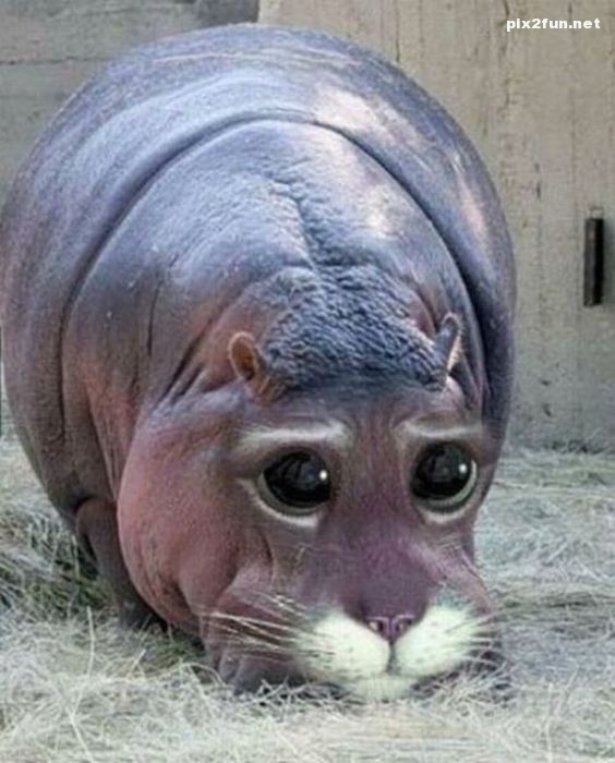 تصاویر خلاقانه فتوشاپی