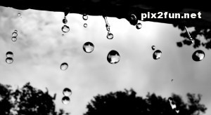 raindrops_3-wallpaper-1024x576