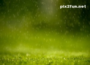 raining_2-wallpaper-1024x768