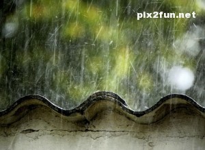 rainy_season-wallpaper-1024x768