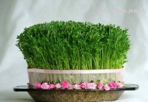 sabze-Nowruz-93-8