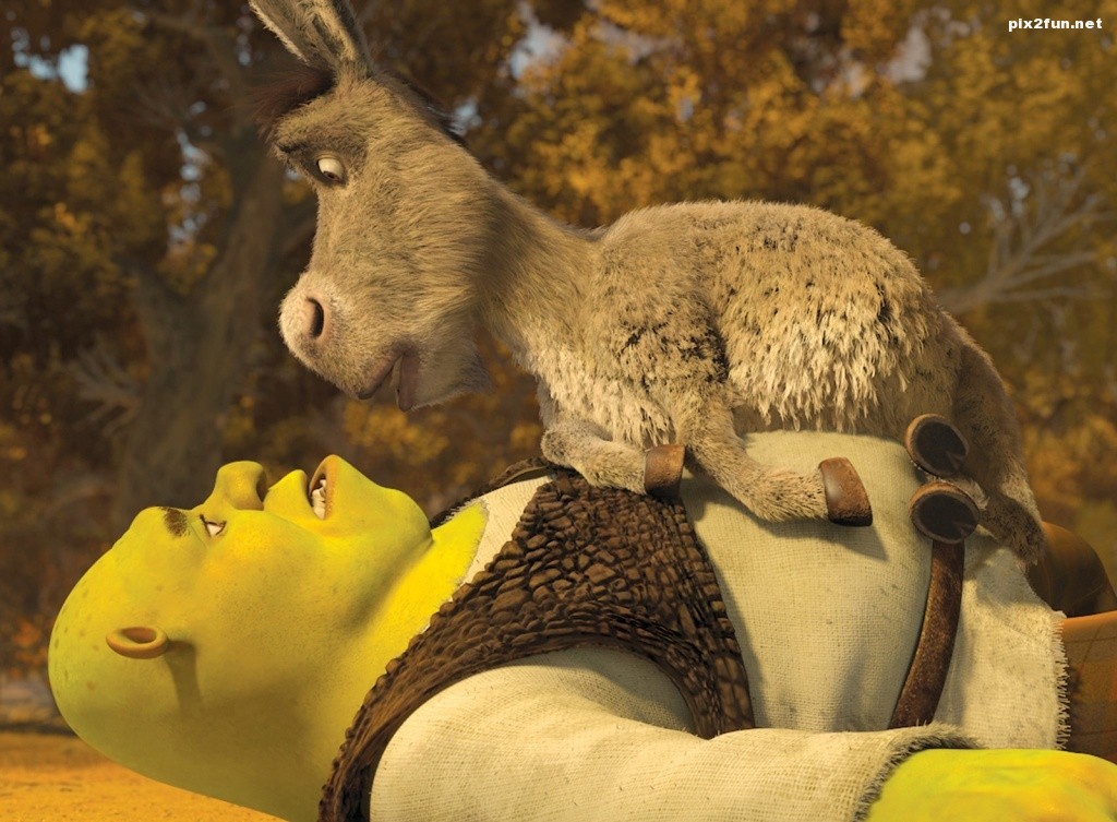 shrek_and_donkey-wallpaper-1024x768