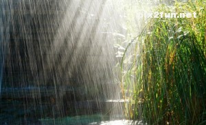 summer_rain_4-wallpaper-1152x720