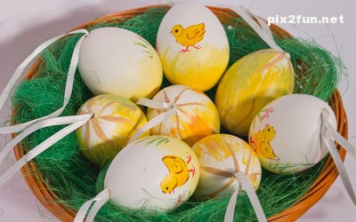 tokhm_morgh_rangi_04