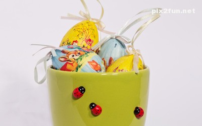 tokhm_morgh_rangi_06