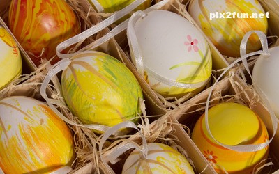 tokhm_morgh_rangi_08