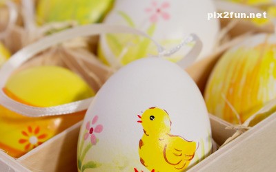 tokhm_morgh_rangi_09