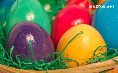 tokhm_morgh_rangi_10