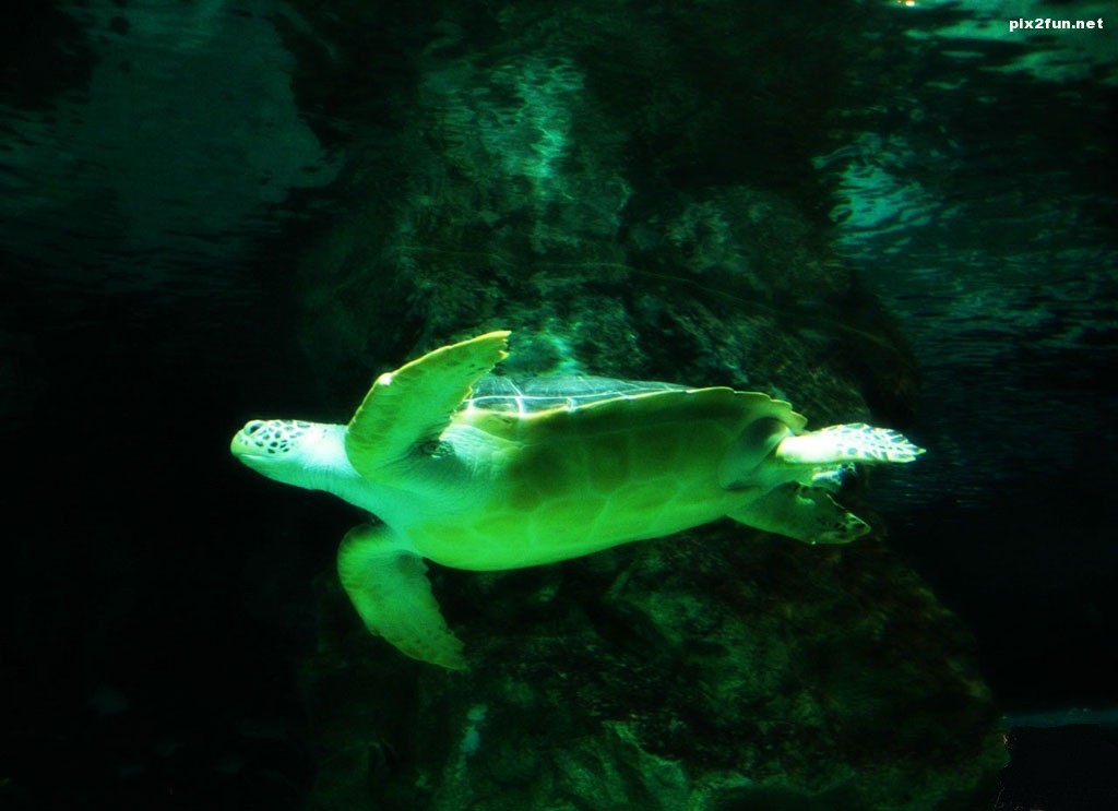 underwater_world_003