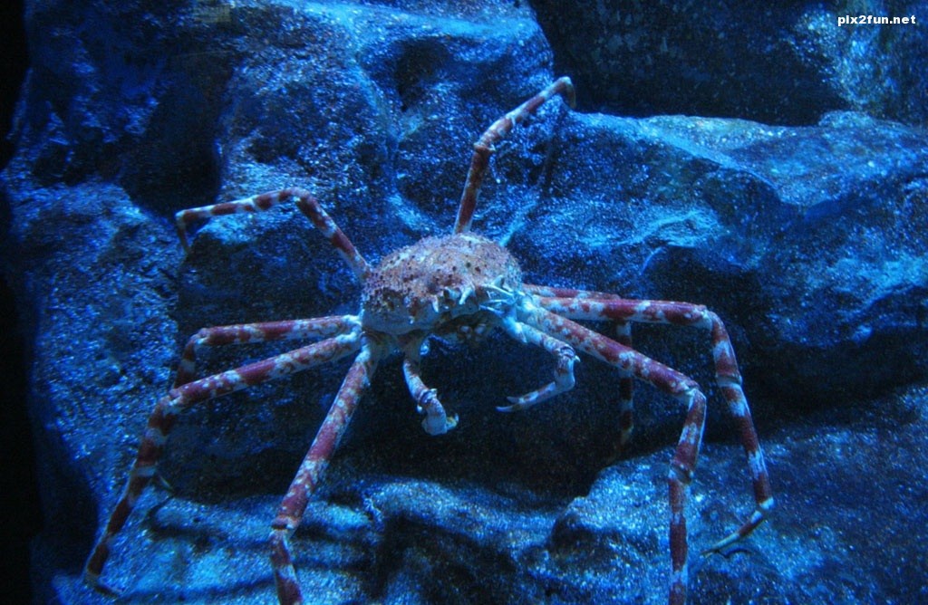 underwater_world_004