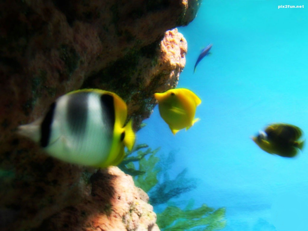 underwater_world_005