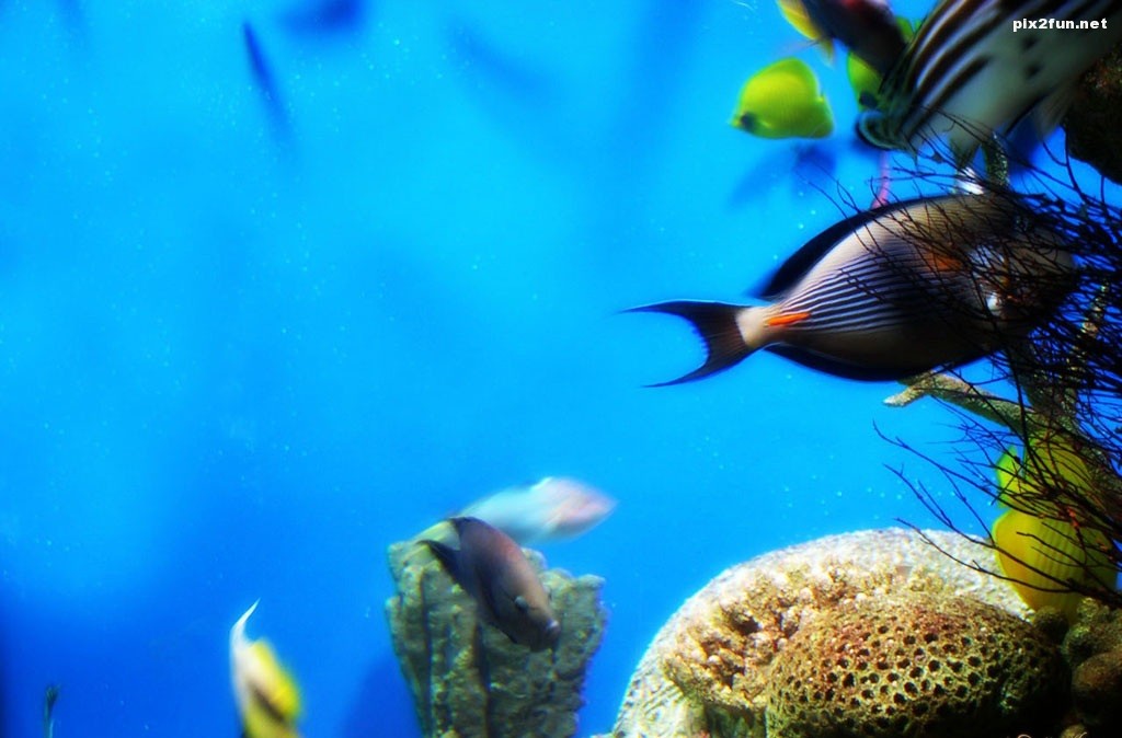 underwater_world_006