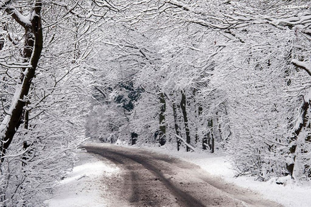 عکس های بسیار زیبا از برف