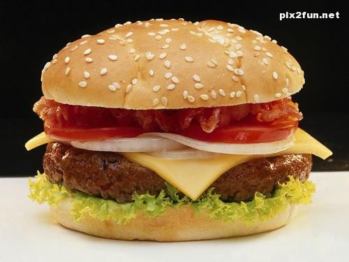 عکس از همبرگر های خوشمزه