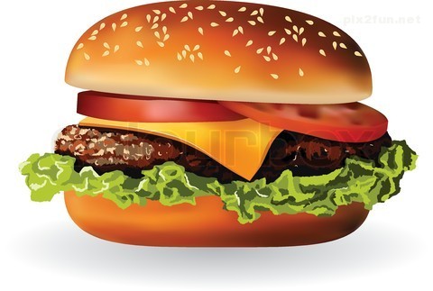 عکس از همبرگر های خوشمزه