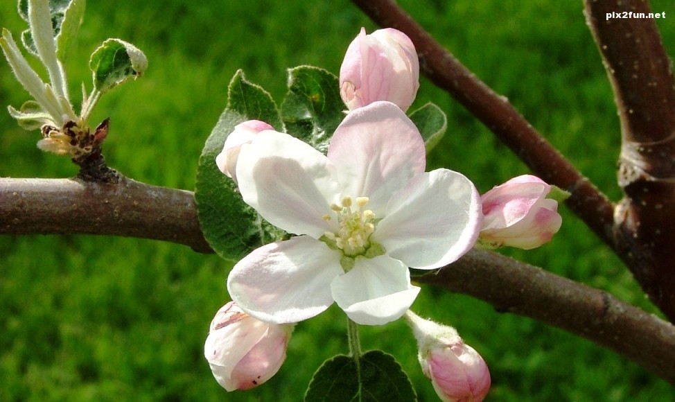 wall1333231573_img3195