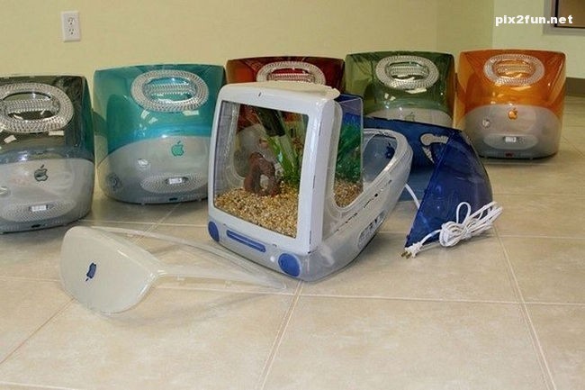 عکسهای جالب از آکواریوم با طرح مانیتور