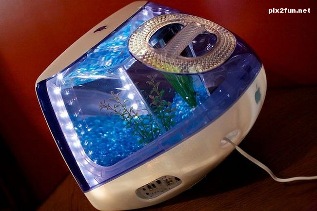 عکسهای جالب از آکواریوم با طرح مانیتور