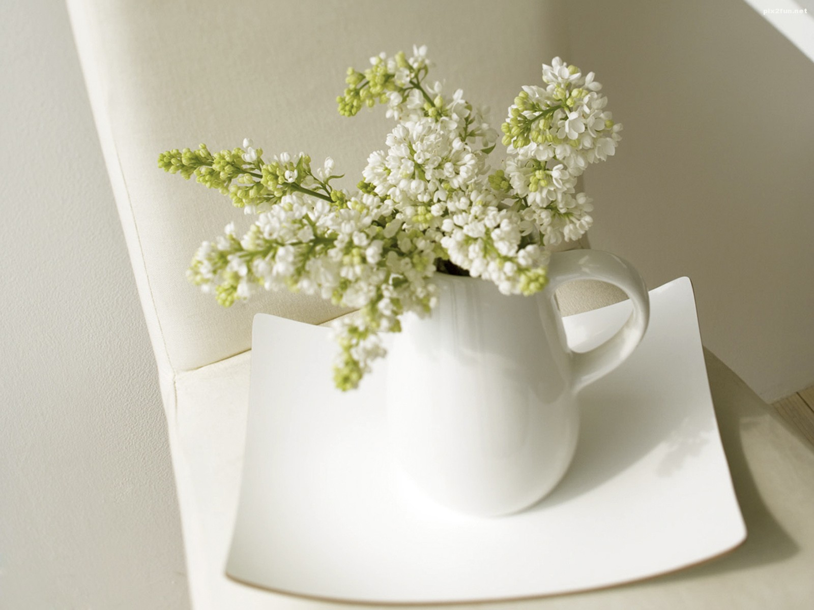 والپیپر های بسیار زیبا با موضوع گل