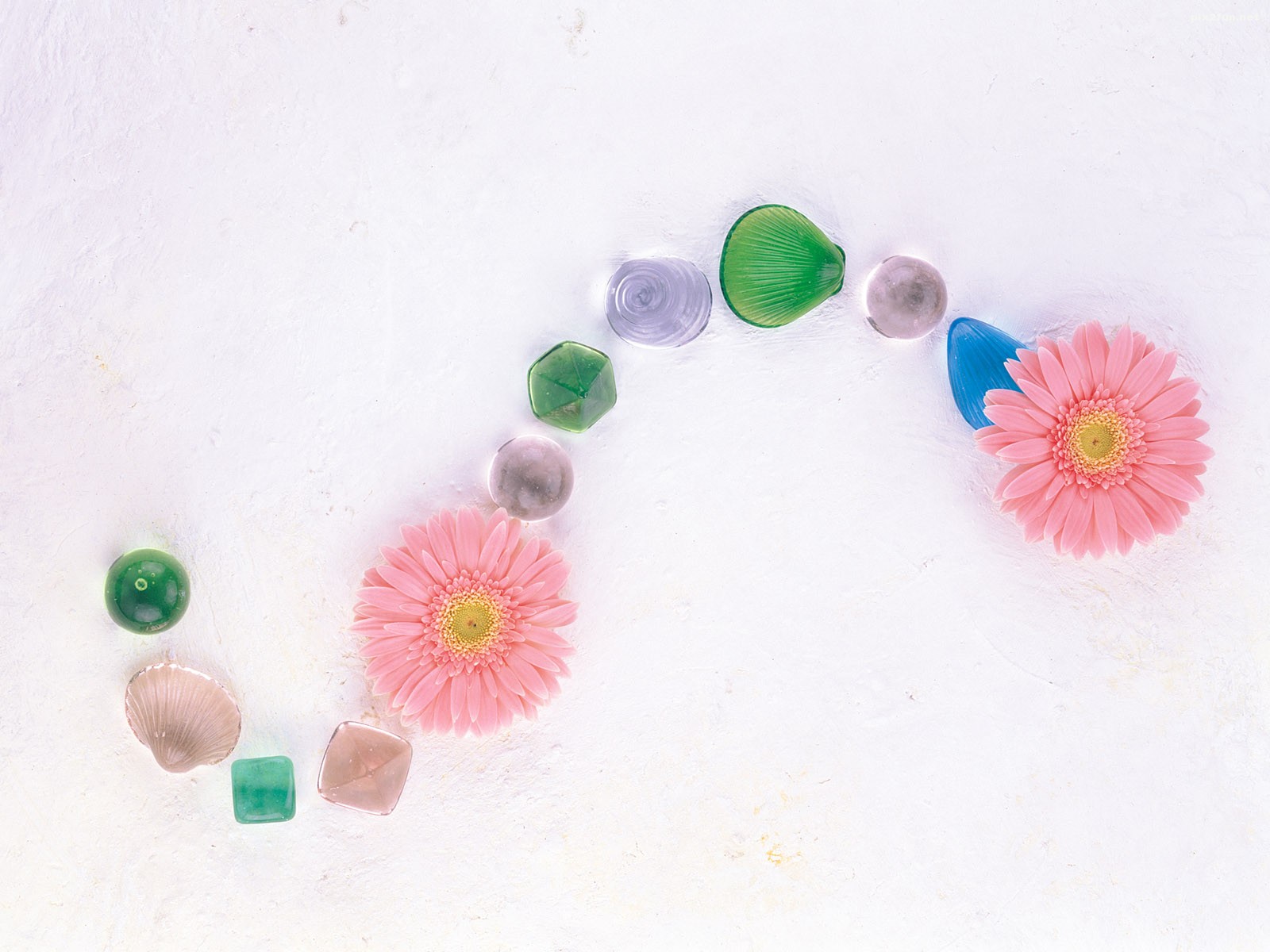 بک گراندهای بسیار زیبا با موضوع گل