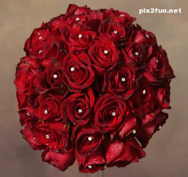 عکس از گل های چیده شده به شکل توپ