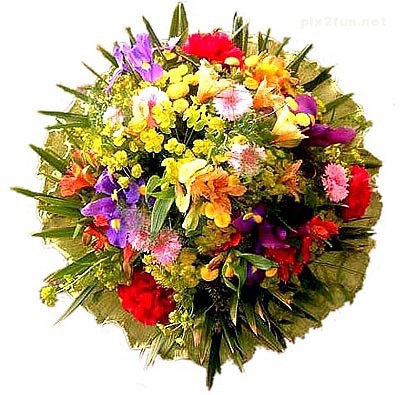 عکس از گل های چیده شده به شکل توپ