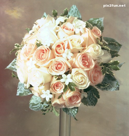 عکس از گل های چیده شده به شکل توپعکس از گل های چیده شده به شکل توپ