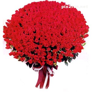 عکس از گل های چیده شده به شکل توپ