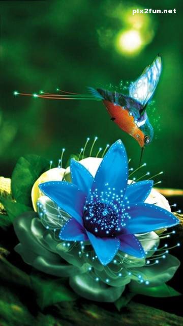 عکس های بسیار زیبا از طرح های جالب دیجیکالی