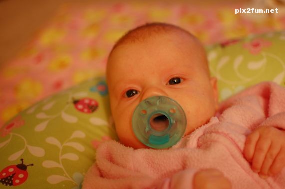 عکس از پستونک های جالب