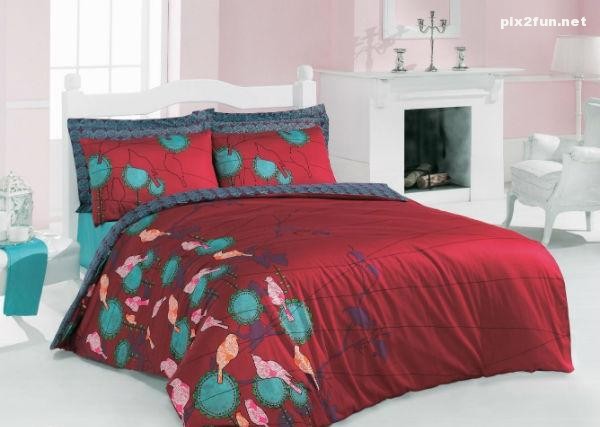 طرح های 2013 روتختی های ایسیمو