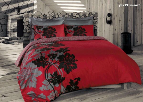 مدل های 2013 روتختی های ایسیمو